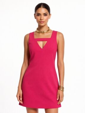 Banana Republic Hot Pink Peek a Boo Sleeveless Pullover Shift Dress 6